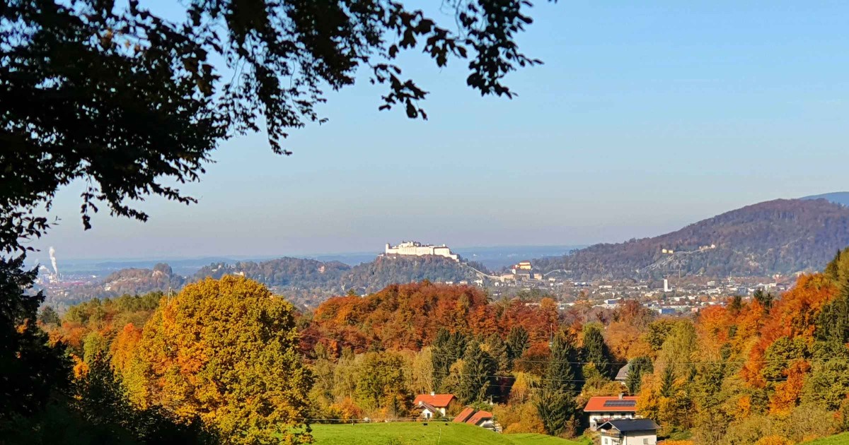 Ausblick auf die Stadt Salzburg © TVB Puch